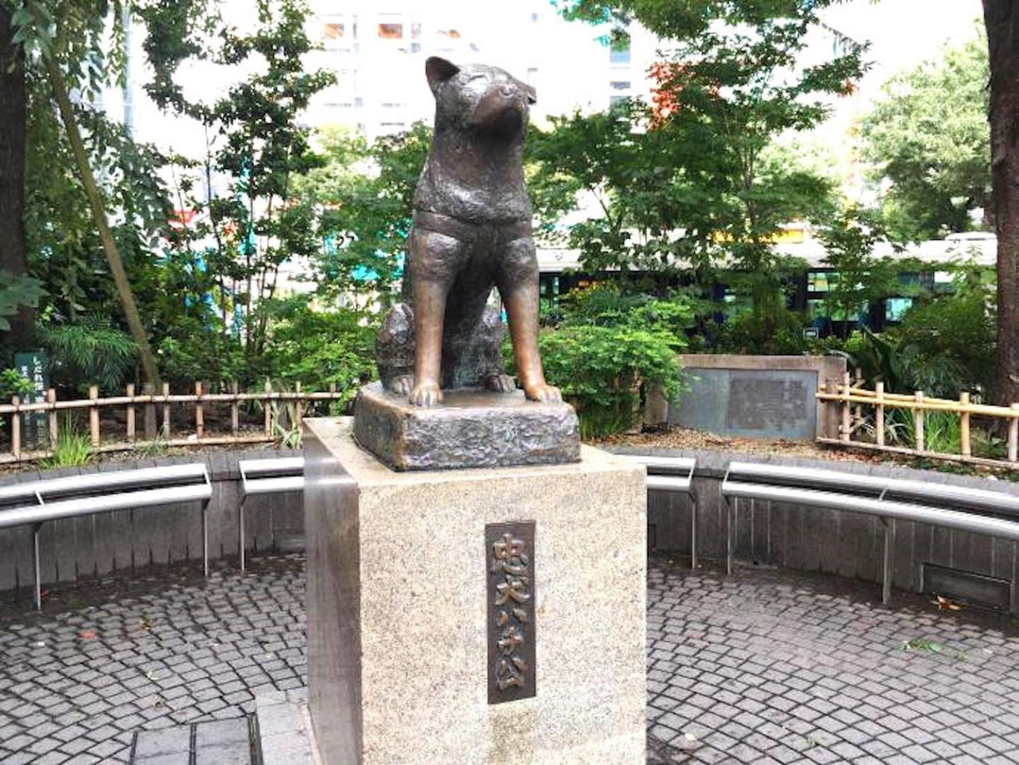 Building A101 / Vacation Stay 1275 Tokyo Eksteriør billede